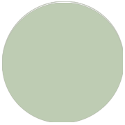 Robes demoiselle d'honneur Vert Sauge