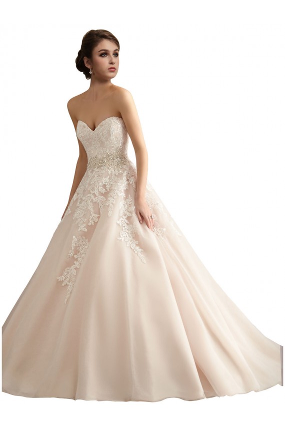 Ivoire & Champagne Princesse Col V Traîne cathédrale Tulle Dentelle Robes de mariée