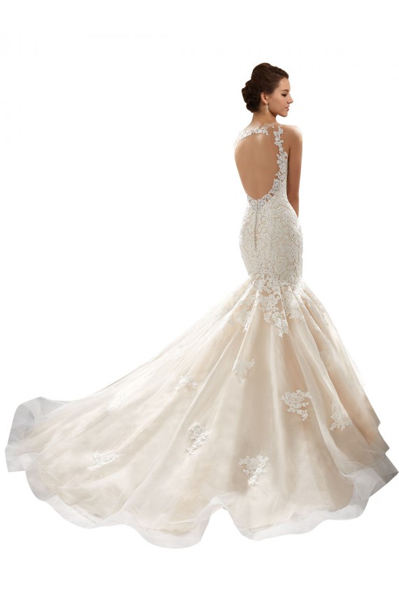 Ivoire & Champagne Sirène Col V Tulle Dentelle Classique Robes de mariée