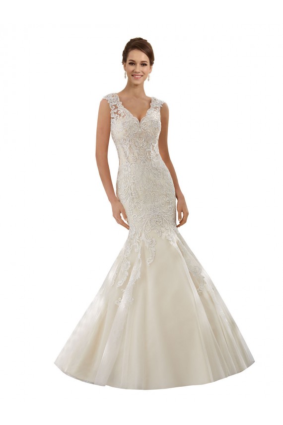 Ivoire & Champagne Sirène Col V Tulle Dentelle Robes de mariée