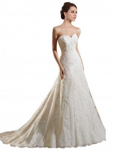 Ivoire & Champagne Trapèze Tulle Dentelle Robes de mariée